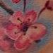 Tattoos - Cherry blossoms - 80565